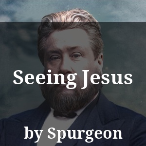 Seeing Jesus