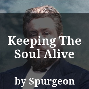 Keeping The Soul Alive