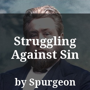 Struggling Against Sin