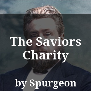 The Saviors Charity