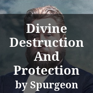 Divine Destruction And Protection