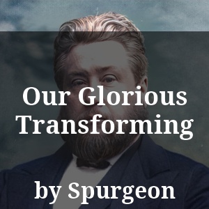 Our Glorious Transforming