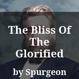 The Bliss Of The Glorified