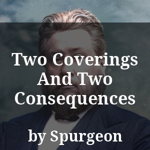 Two Coverings And Two Consequences