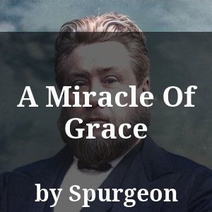 A Miracle Of Grace