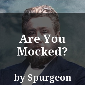 Are You Mocked?