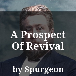 A Prospect Of Revival