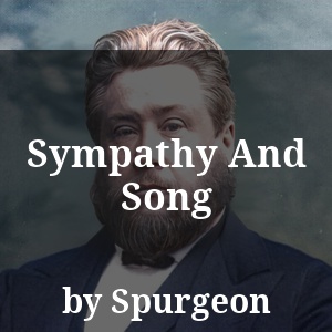 Sympathy And Song