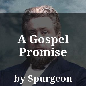 A Gospel Promise