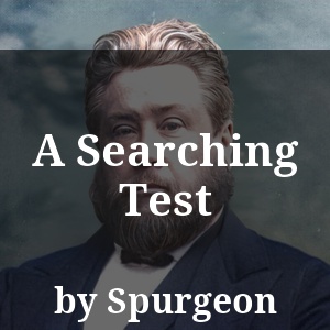 A Searching Test