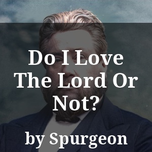 Do I Love The Lord Or Not?