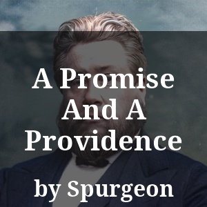 A Promise And A Providence