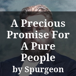 A Precious Promise For A Pure People