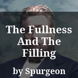 The Fullness And The Filling