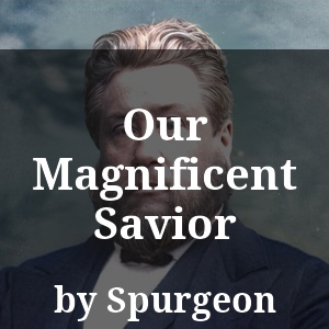 Our Magnificent Savior