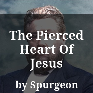 The Pierced Heart Of Jesus