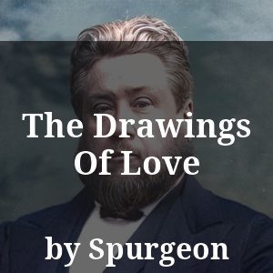 The Drawings Of Love