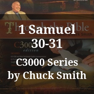 1 Samuel 30-31