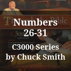 Numbers 26-31