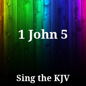 1 John 5