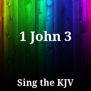 1 John 3