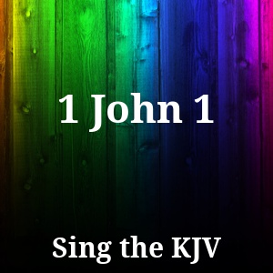 1 John 1