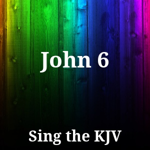 John 6