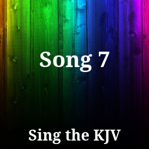 Song 7