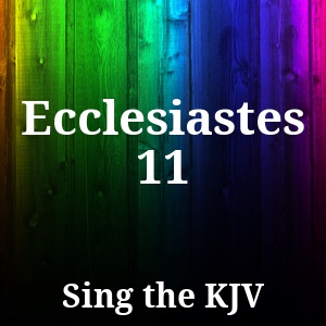 Ecclesiastes 11