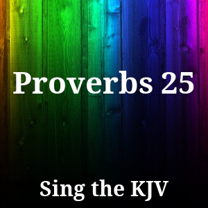 Proverbs 25