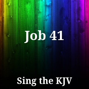 Job 41