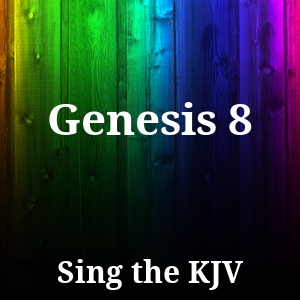 Genesis 8