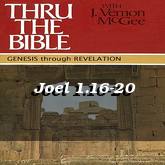 Joel 1.16-20