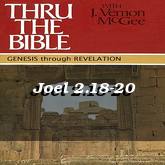 Joel 2.18-20