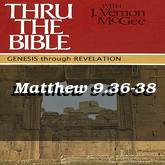 Matthew 9.36-38