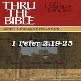 1 Peter 2.19-25